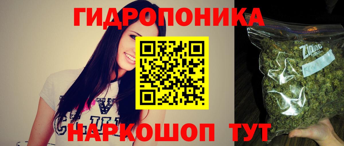 Канабис сатива Зерноград